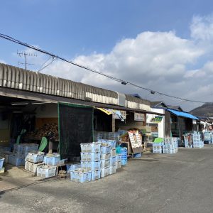 ハウスクリア岡山　ランチ番外編　寄島牡蠣